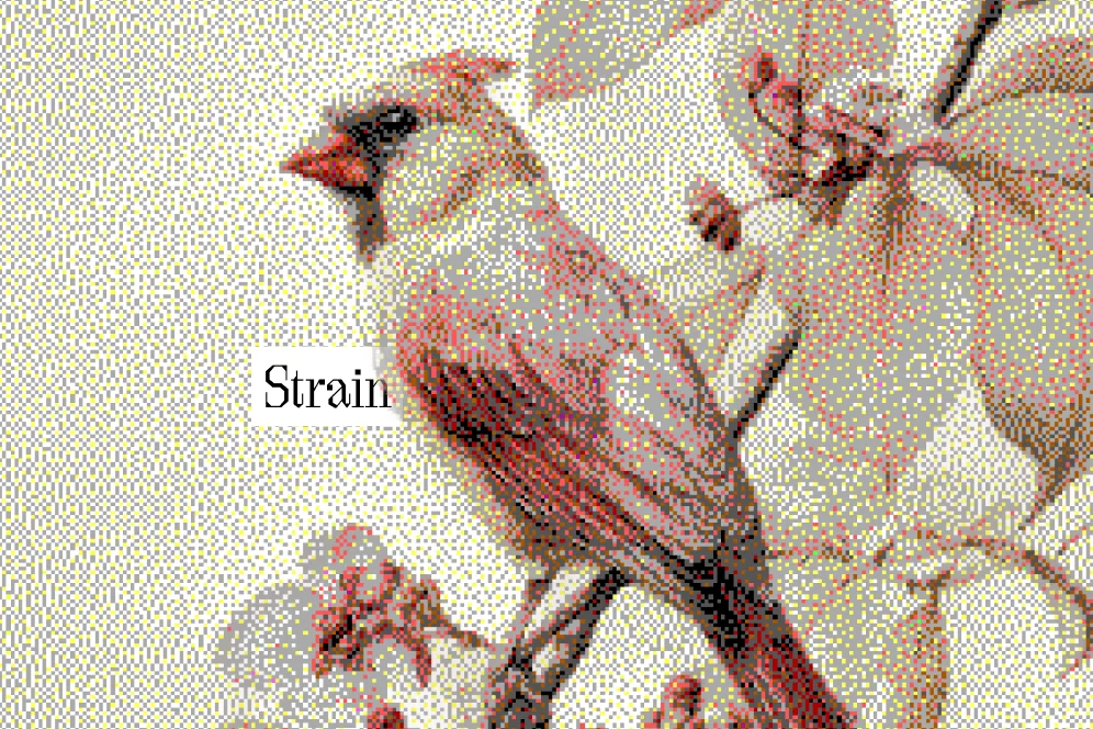 Why Custom Facebook Scripts Break Down After 100+ Pages