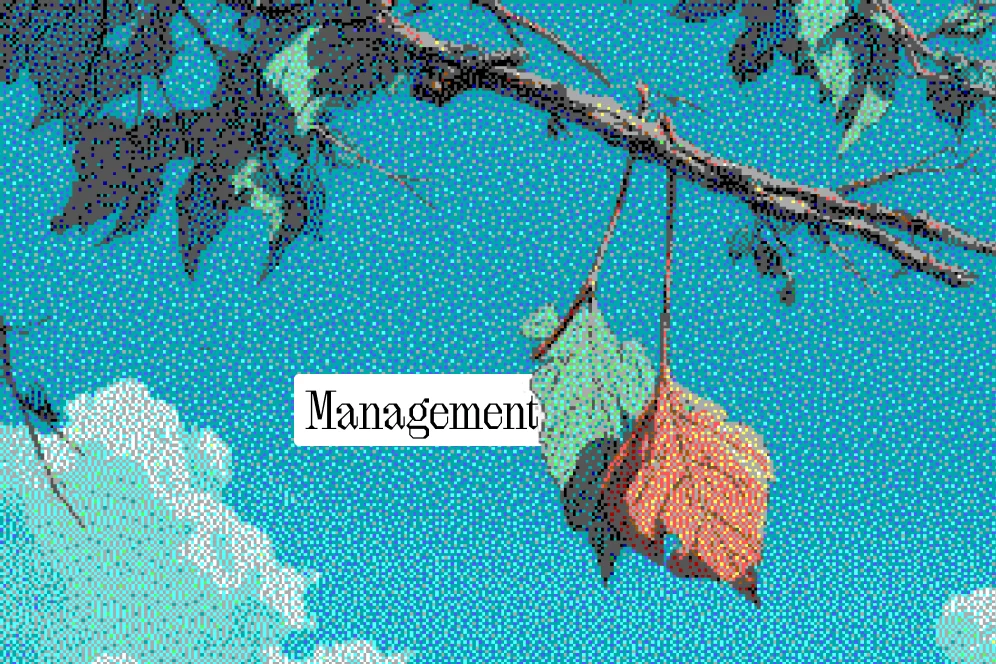 How Facebook Agencies Handle Multi-Account Page Management Safely