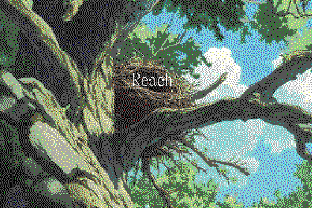 A digital dashboard showing multiple Facebook page icons neatly sorted into distinct, color-coded clusters for management.