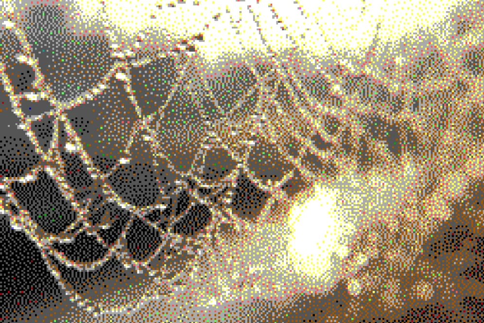 Why ‘Scheduled’ Doesn’t Always Mean ‘Published’ on Facebook