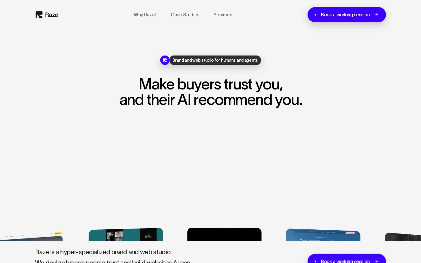 Screenshot of Raze website