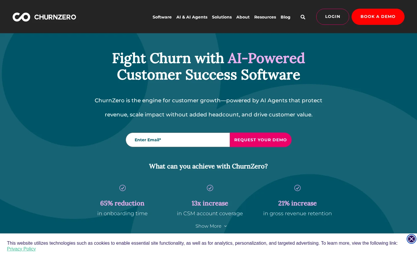 Screenshot of ChurnZero website